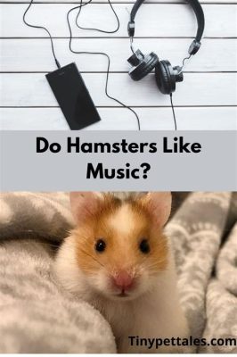 do hamsters like music while exercising