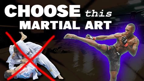 What's the Best Martial Art to Learn: A Multi-Perspective Analysis